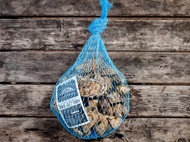 Blue Pool Oysters - Image 3
